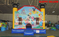 Porcellana Divertimento di salto gonfiabile all'aperto di Michy dei castelli dei bambini per il parco di divertimenti RQL-00502 distributore 